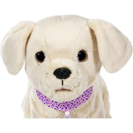 BABY born Mi perrito alegre con caja de transporte