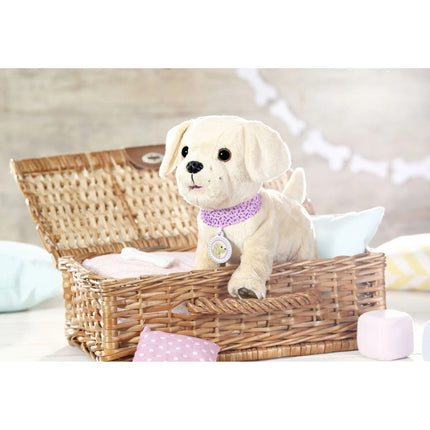 BABY born Mi perrito alegre con caja de transporte