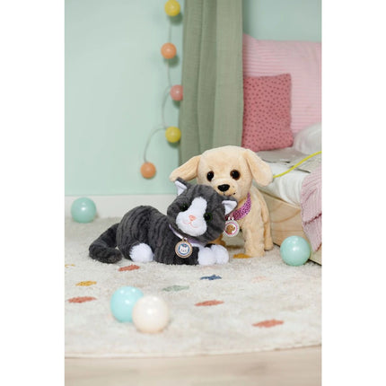 BABY born Gata Cookie con transportín