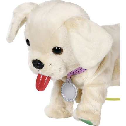 BABY born Mi perrito alegre con caja de transporte