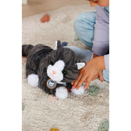 BABY born Gata Cookie con transportín