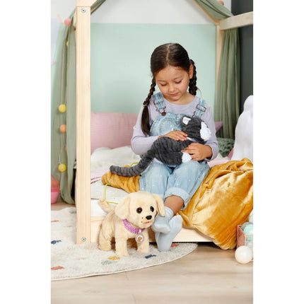 BABY born Gata Cookie con transportín